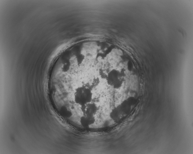 X0000111590149200908131348