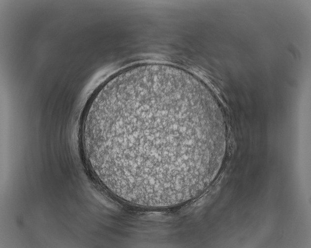X0000111590151200908131348