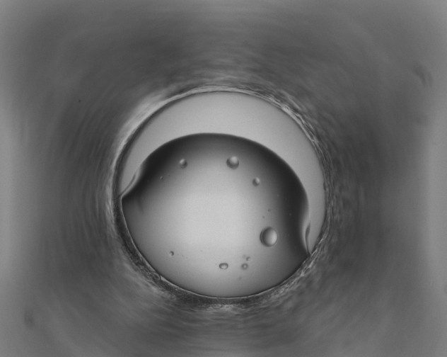 X0000111590152200908131348