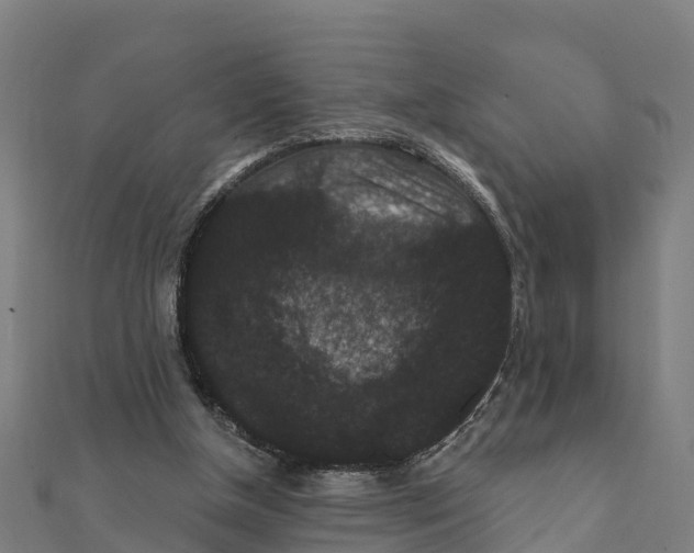 X0000111590154200908131348
