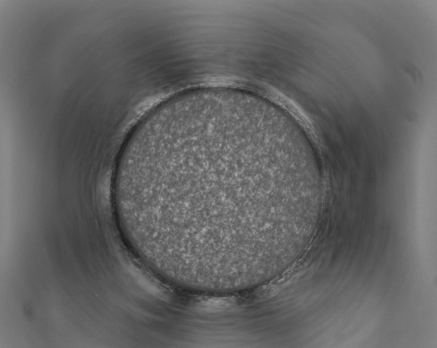 X0000111590155200908131348