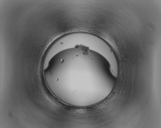 X0000111590156200908131348