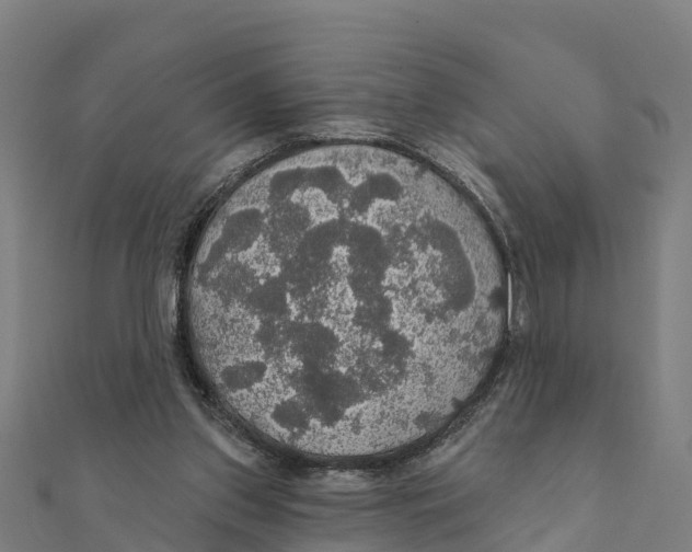 X0000111590157200908131348