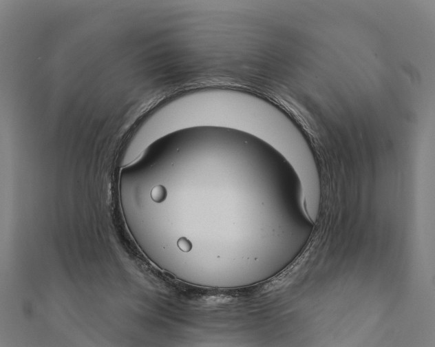 X0000111590158200908131348