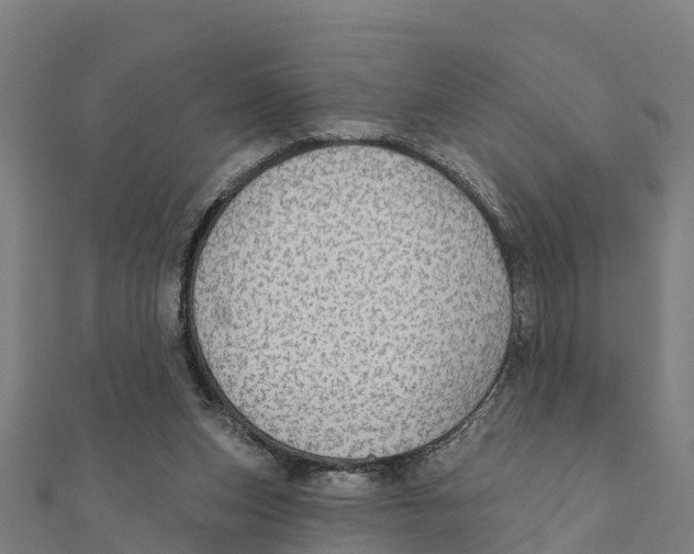 X0000111590159200908131348