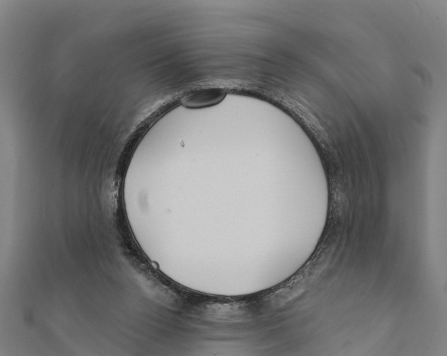 X0000111590160200908131348