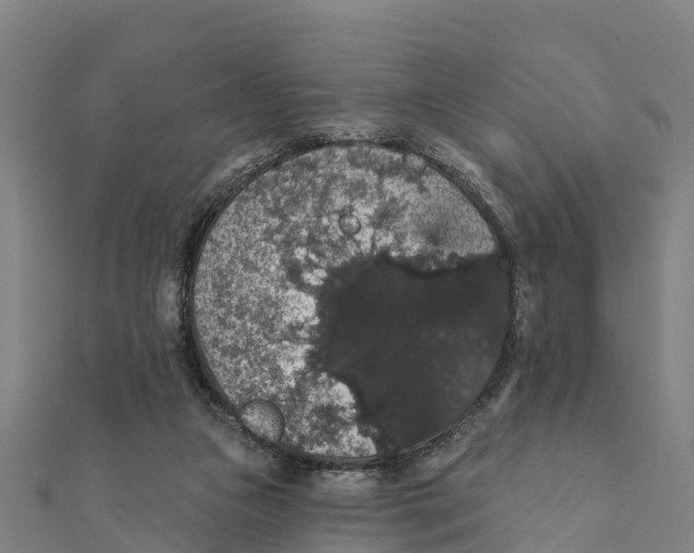 X0000111590161200908131348