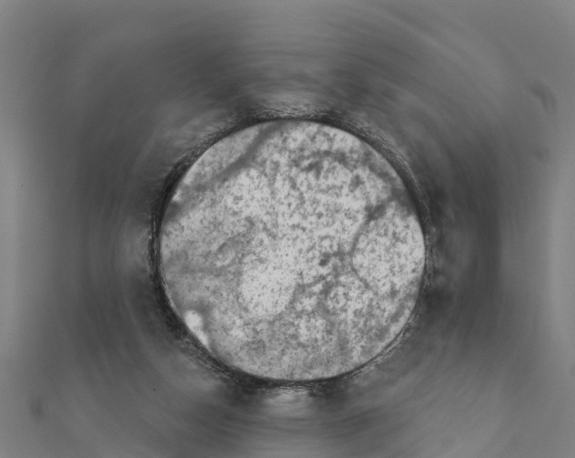 X0000111590162200908131348