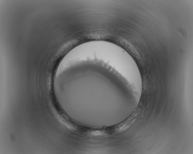 X0000111590163200908131348