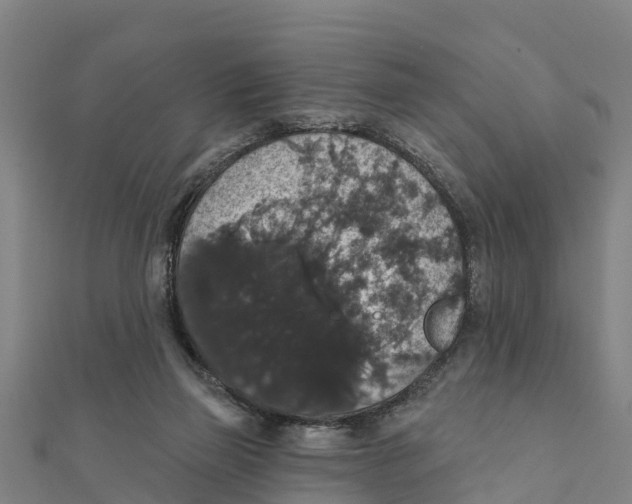 X0000111590165200908131348