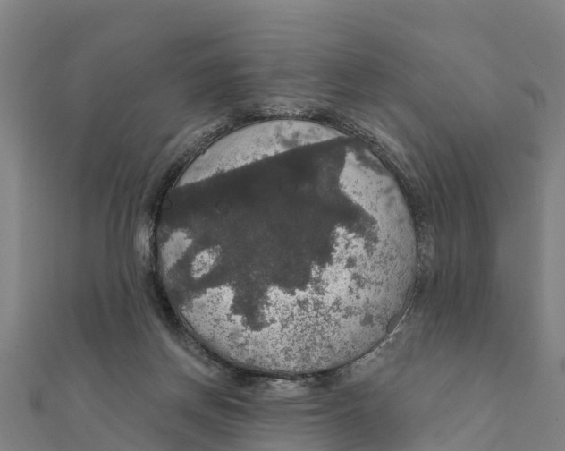 X0000111590166200908131348