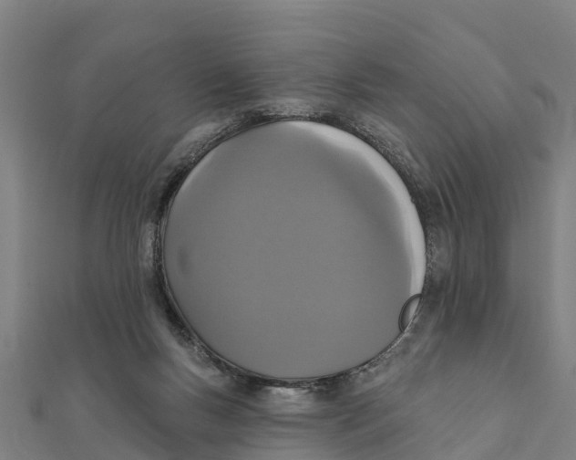 X0000111590167200908131348