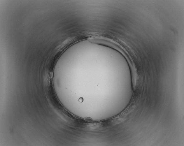 X0000111590168200908131348