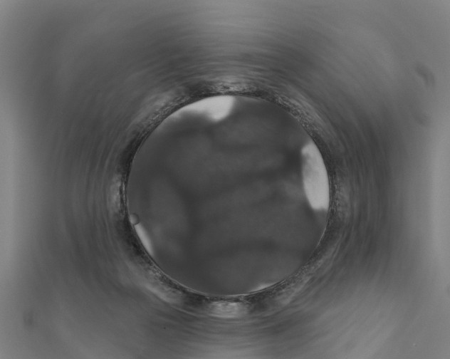 X0000111590169200908131348