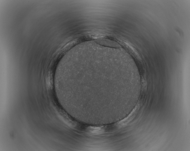 X0000111590170200908131348