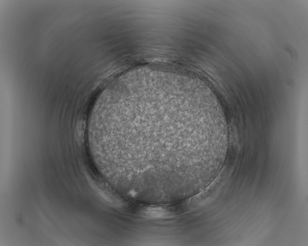 X0000111590171200908131348