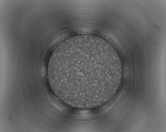 X0000111590173200908131348