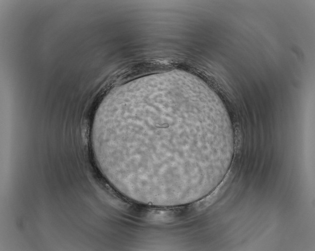 X0000111590174200908131348