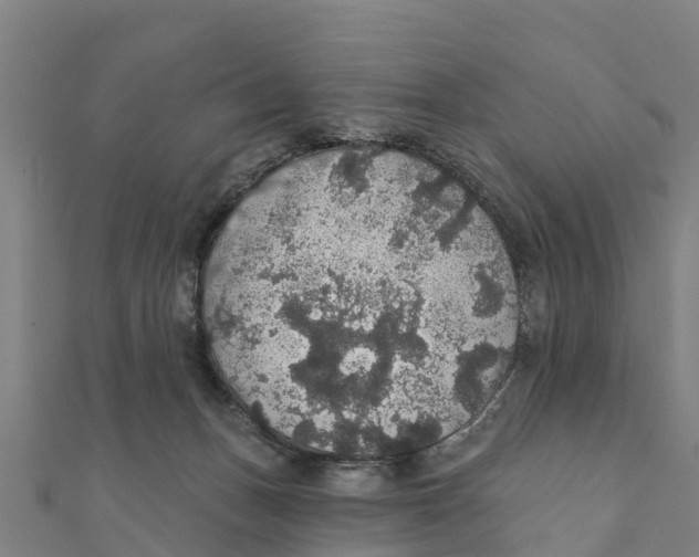 X0000111590175200908131348