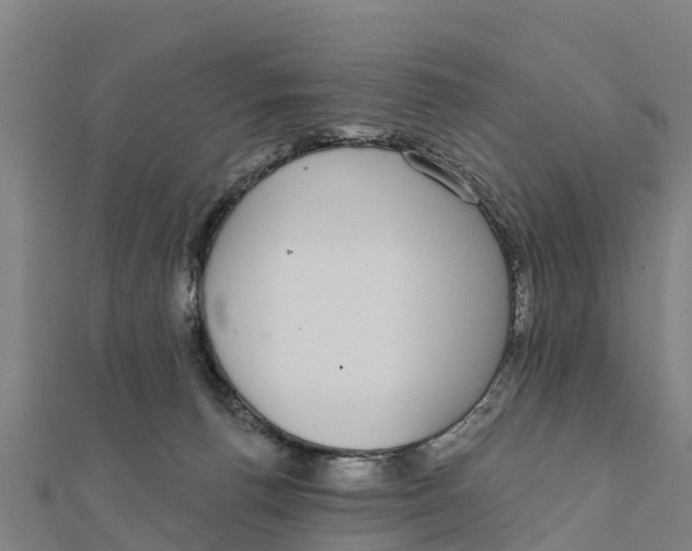X0000111590176200908131348