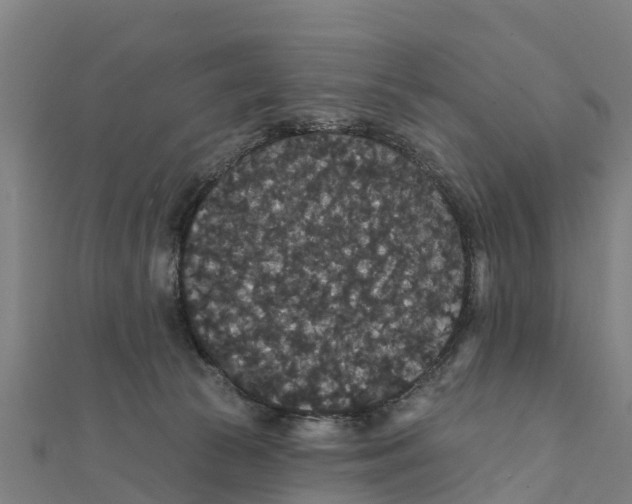 X0000111590177200908131348