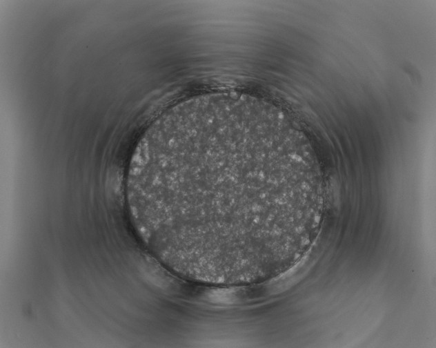 X0000111590178200908131348