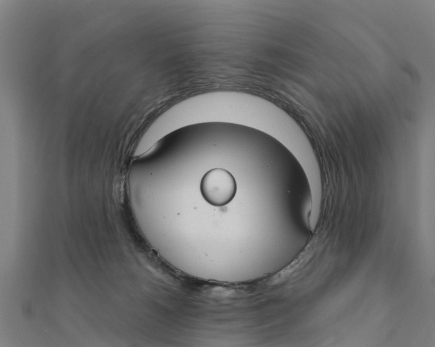 X0000111590180200908131349
