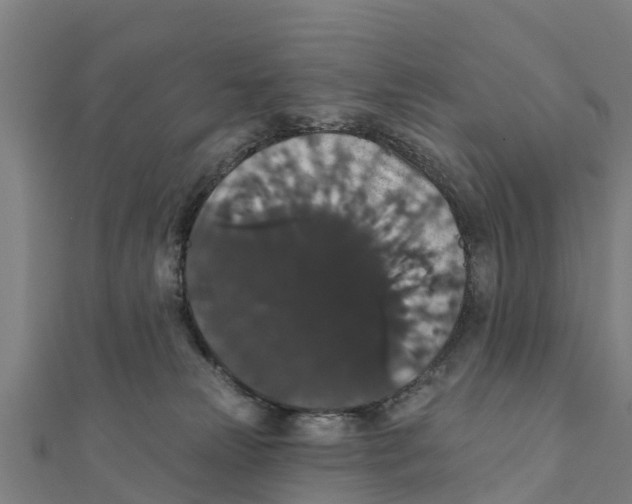 X0000111590181200908131349