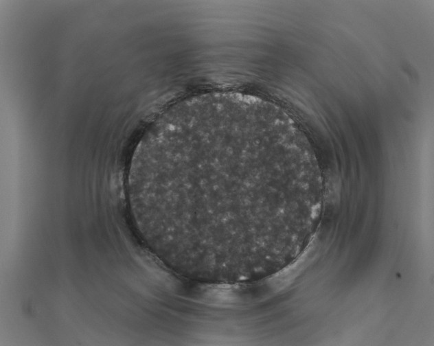 X0000111590182200908131349