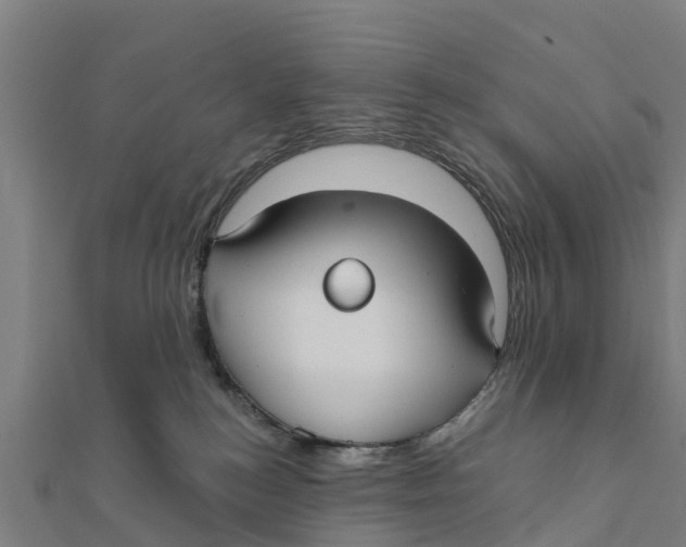 X0000111590184200908131349