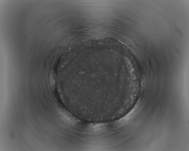 X0000111590186200908131349