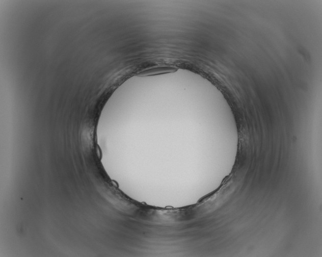 X0000111590188200908131349