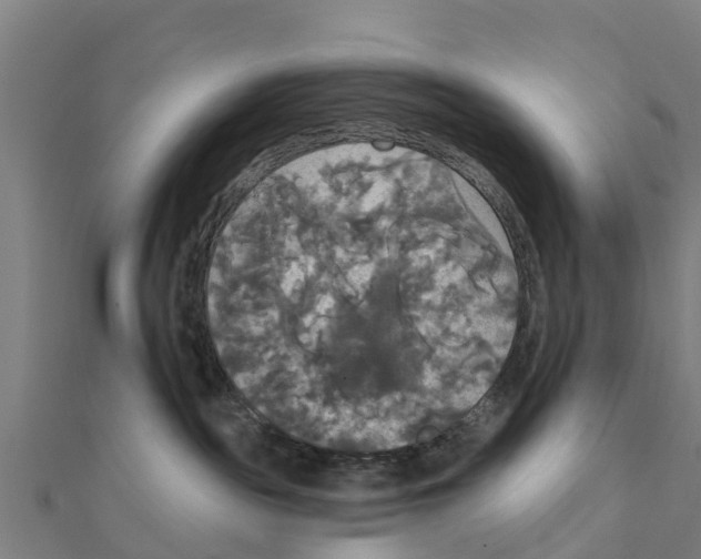 X0000111590189200908131349