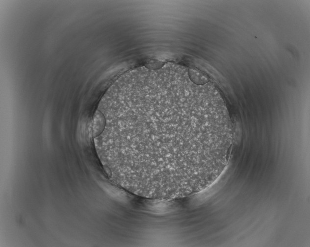 X0000111590191200908131349