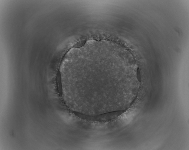 X0000111590192200908131349