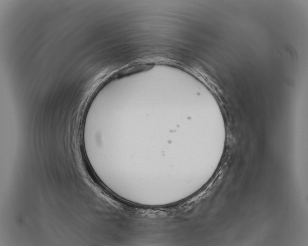 X0000111590193200908131348