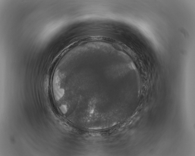 X0000111590194200908131348