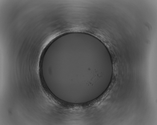 X0000111590196200908131348
