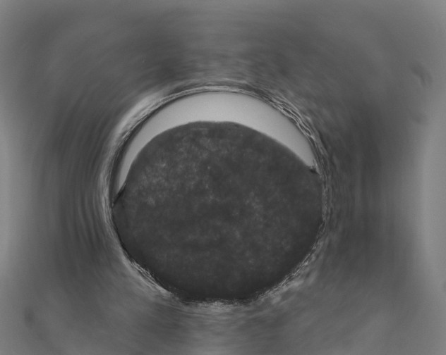 X0000111590197200908131348