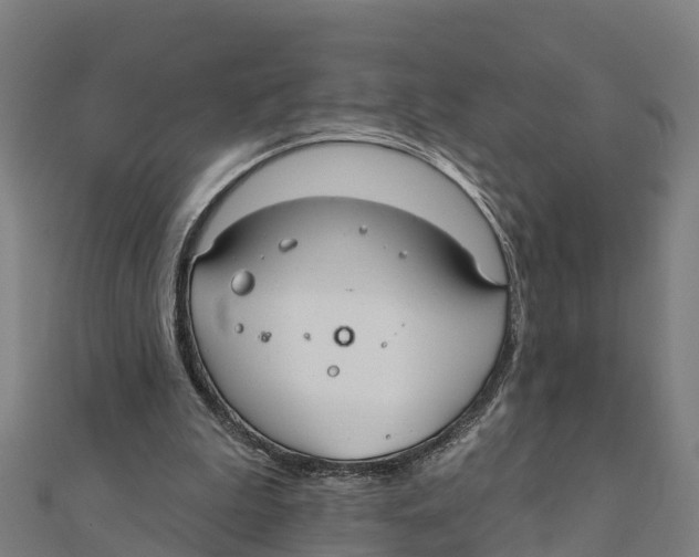 X0000111590199200908131348