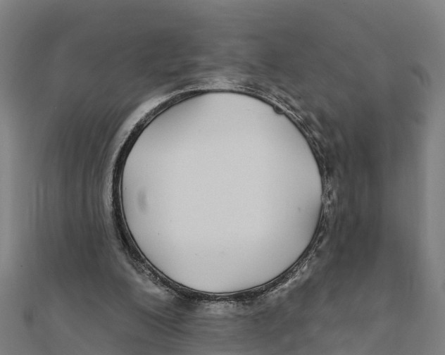 X0000111590200200908131348