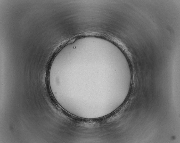 X0000111590201200908131348