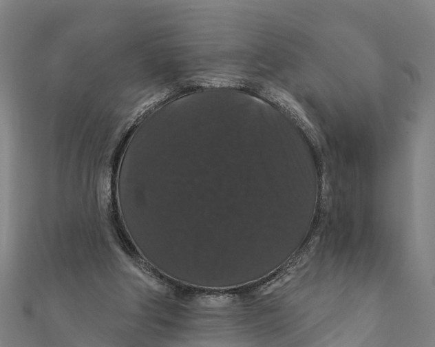 X0000111590202200908131348