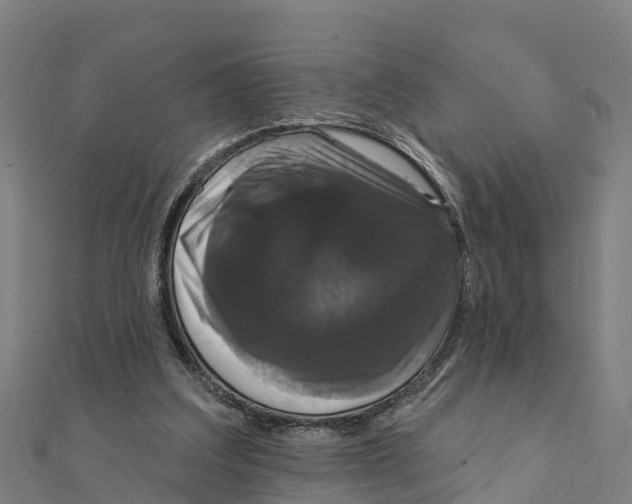X0000111590203200908131348