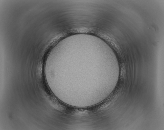X0000111590206200908131348