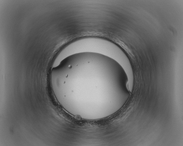 X0000111590207200908131348