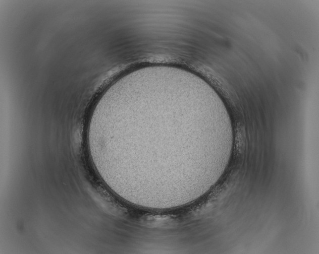 X0000111590208200908131348