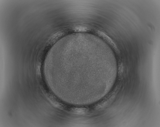 X0000111590209200908131348