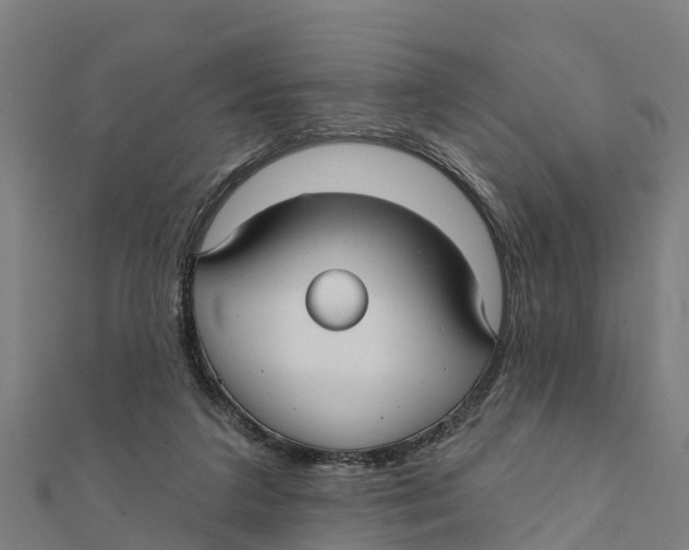 X0000111590211200908131348
