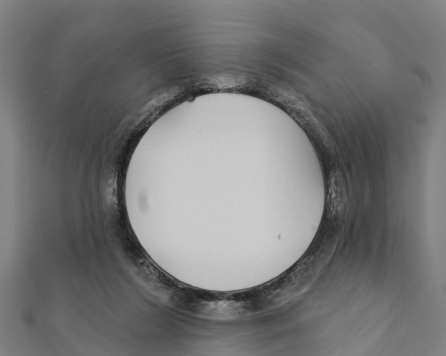 X0000111590212200908131348